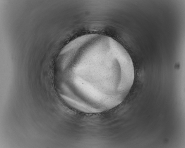 X0000112850817200909041527