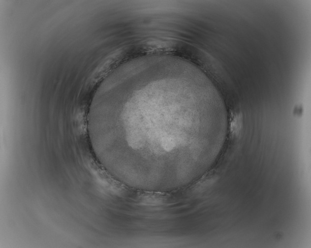 X0000112850819200909041527