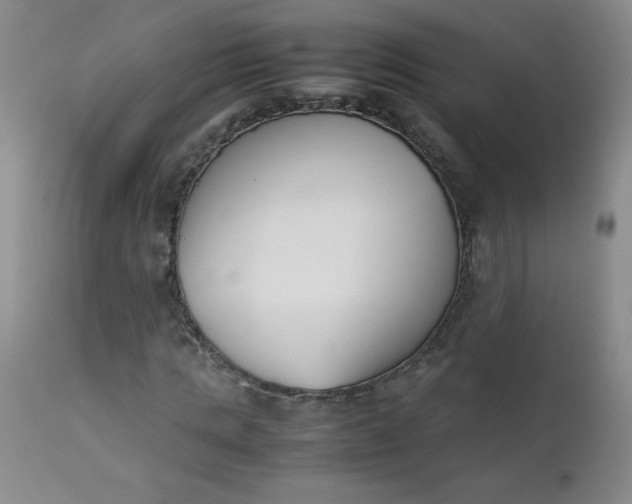 X0000112850821200909041527