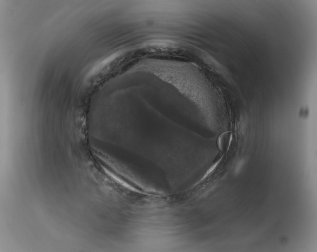 X0000112850822200909041527