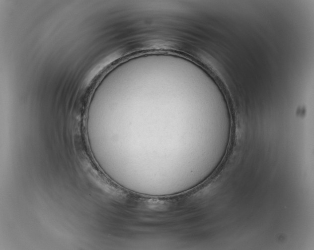 X0000112850827200909041527