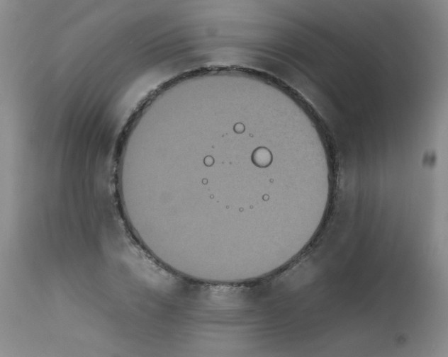 X0000112850832200909041527