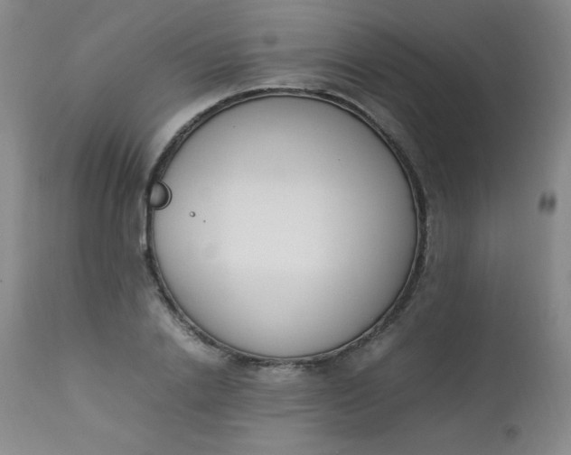 X0000112850838200909041527