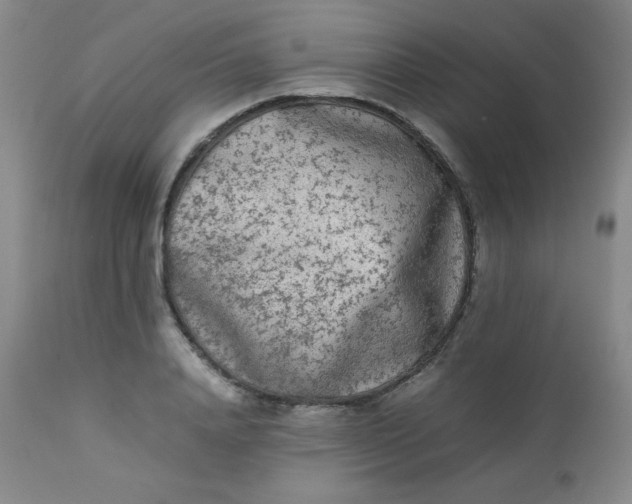 X0000112850840200909041527