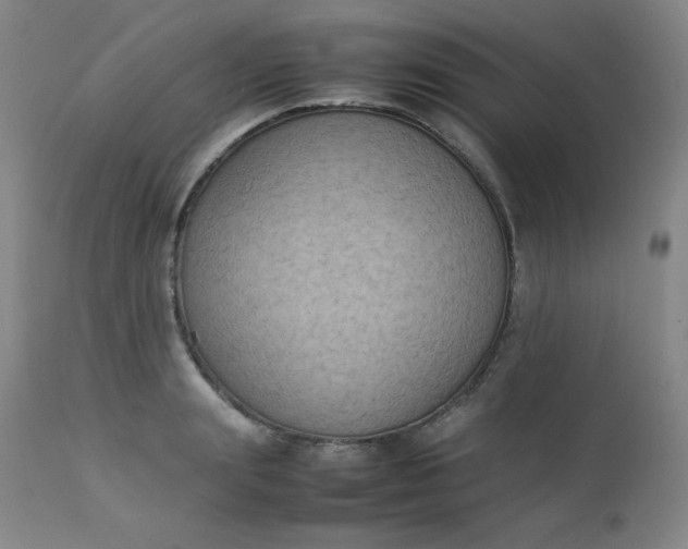 X0000112850847200909041527