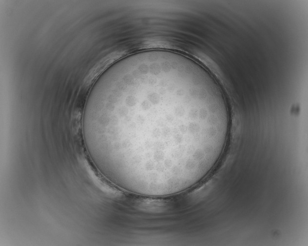 X0000112850849200909041527