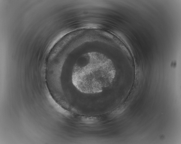 X0000112850851200909041527