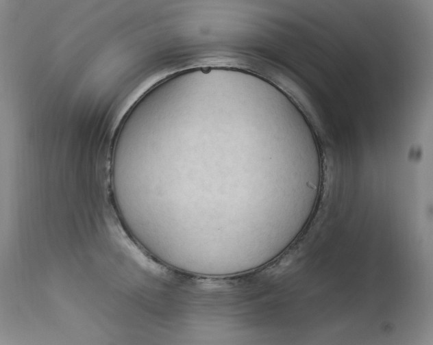 X0000112850852200909041527