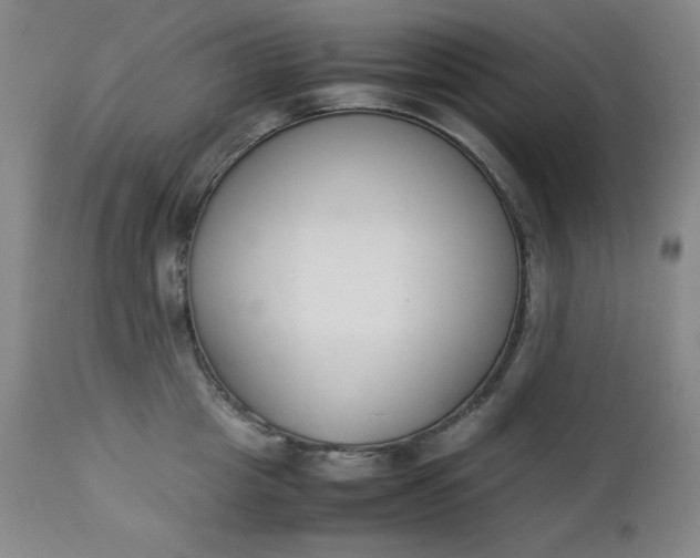 X0000112850857200909041528