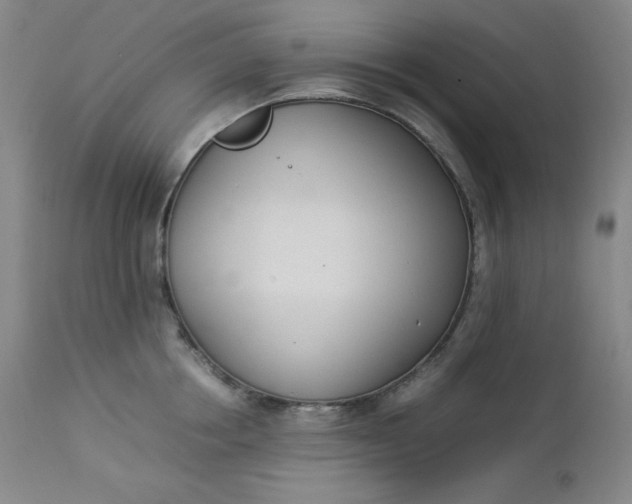 X0000112850858200909041528