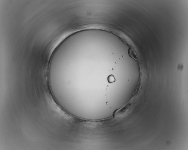 X0000112850860200909041528