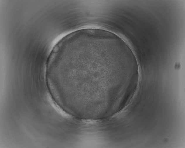 X0000112850862200909041528