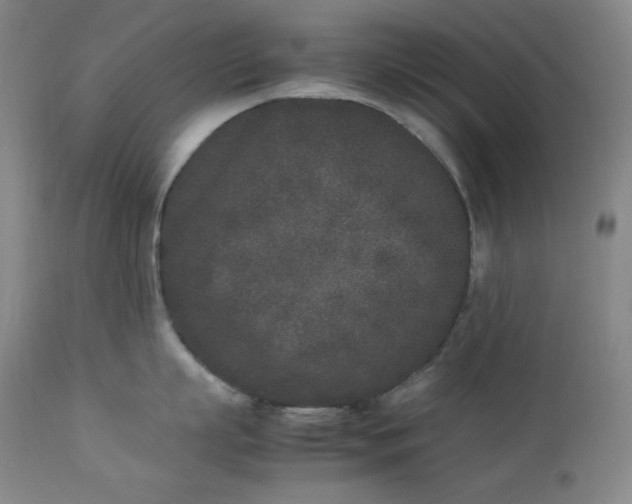 X0000112850863200909041528