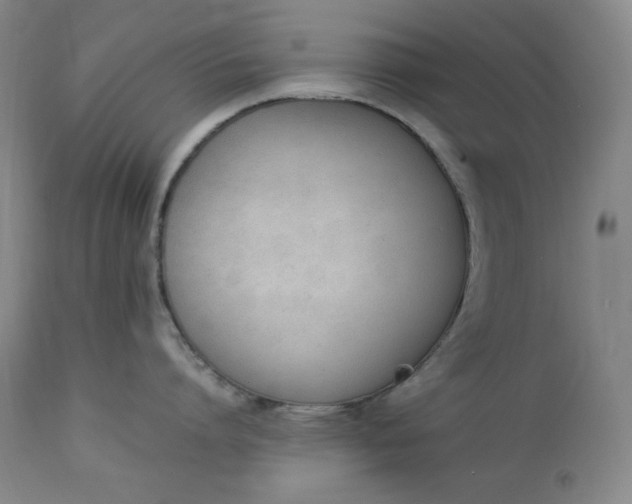 X0000112850864200909041528