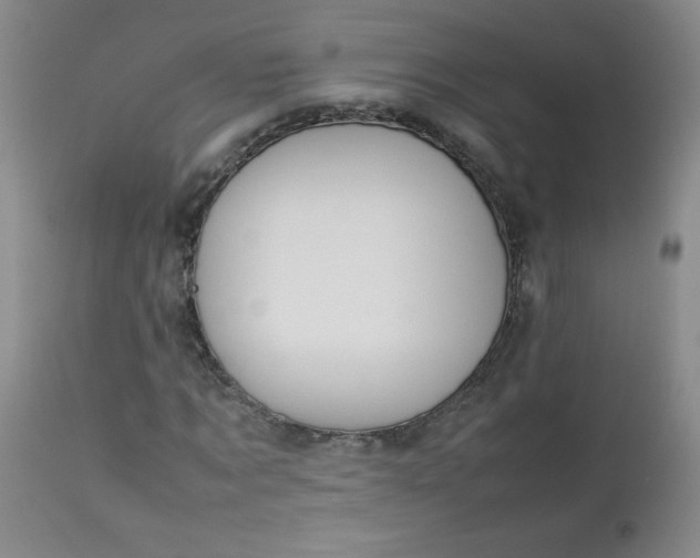 X0000112850869200909041527