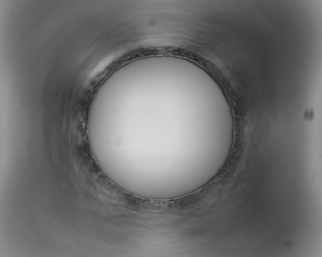 X0000112850871200909041527