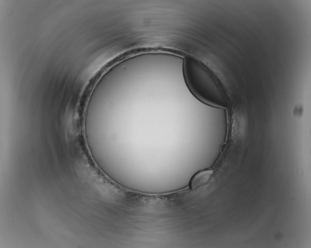 X0000112850876200909041527