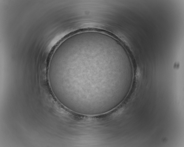 X0000112850877200909041527