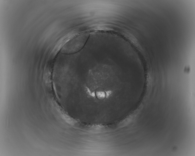 X0000112850881200909041527