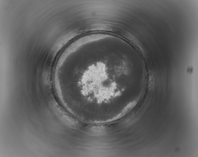 X0000112850882200909041527