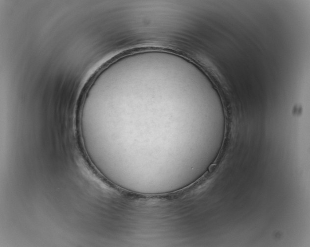 X0000112850884200909041527