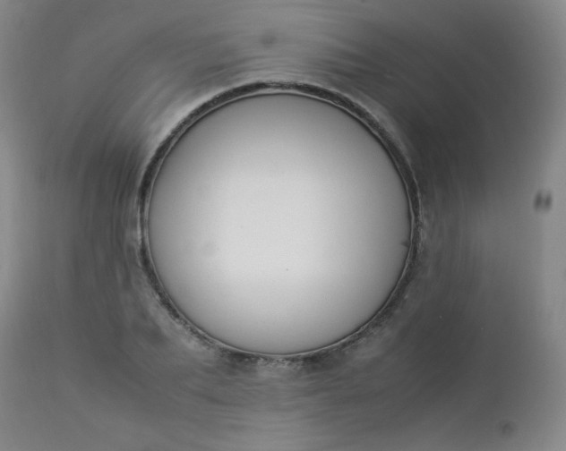 X0000112850887200909041527