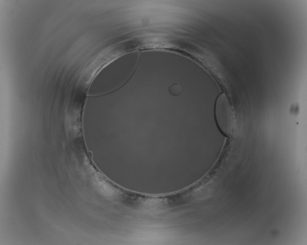 X0000112850889200909041527