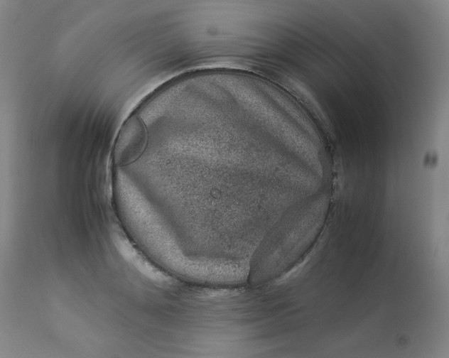 X0000112850892200909041527