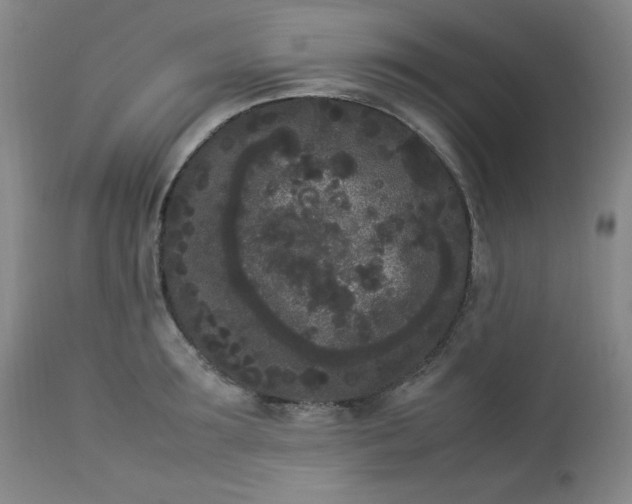 X0000112850899200909041526