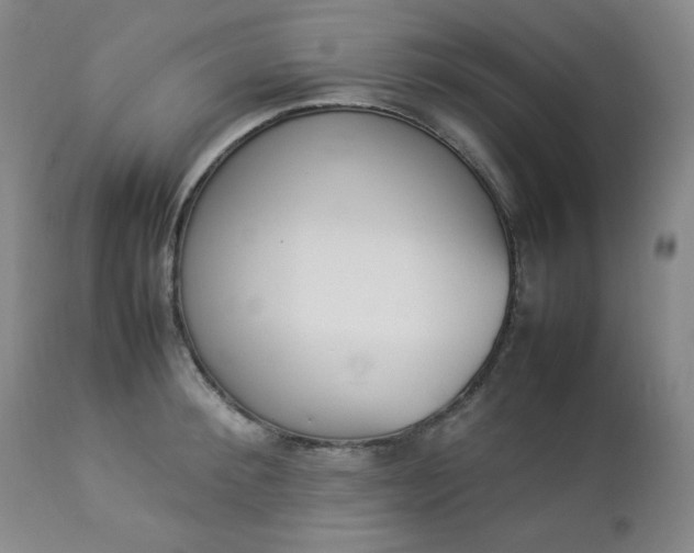 X0000112850900200909041526