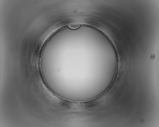 X0000112850901200909041526