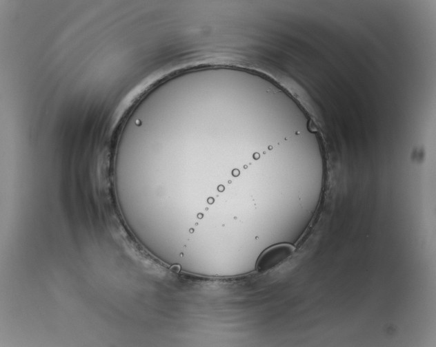 X0000112850904200909041526