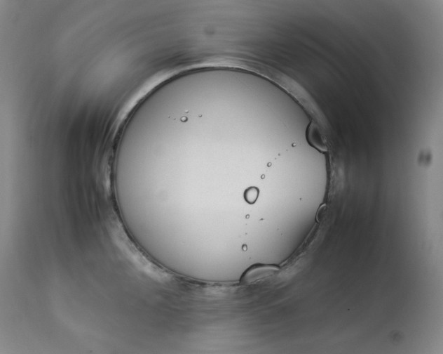 X0000112850908200909041526