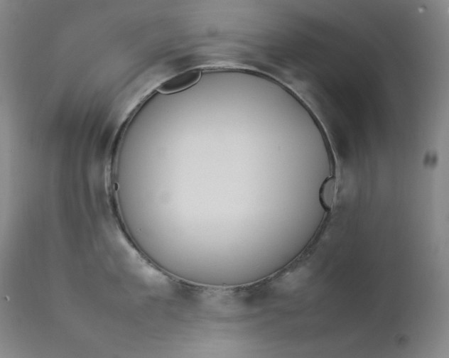 X0000112850909200909041526