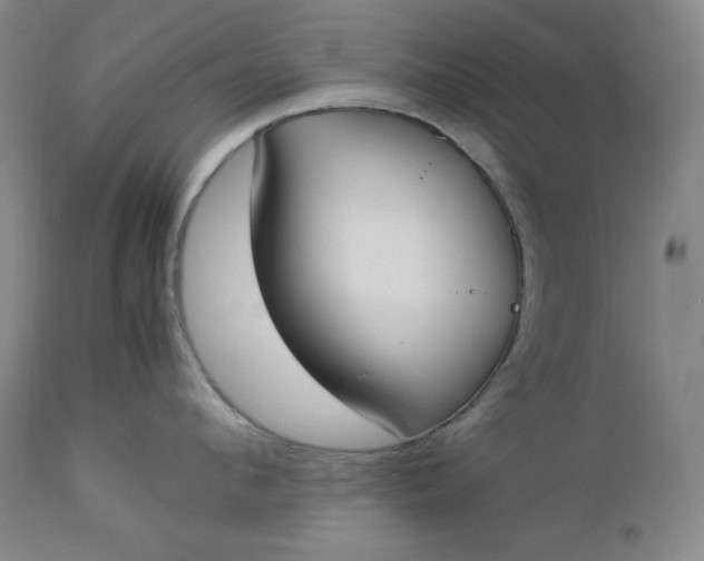 X0000112850912200909041526