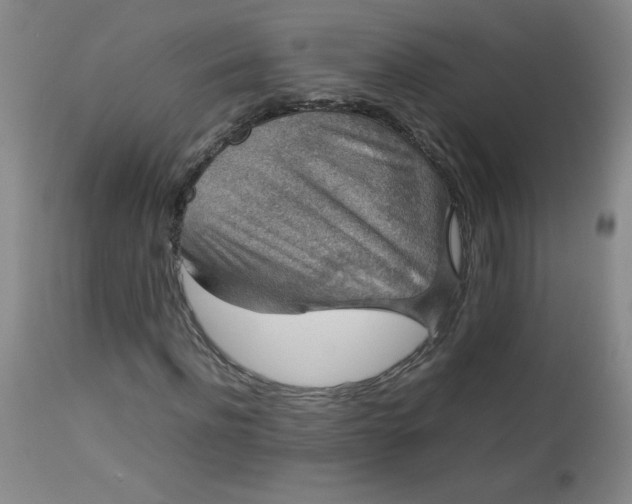 X0000112850916200909041526