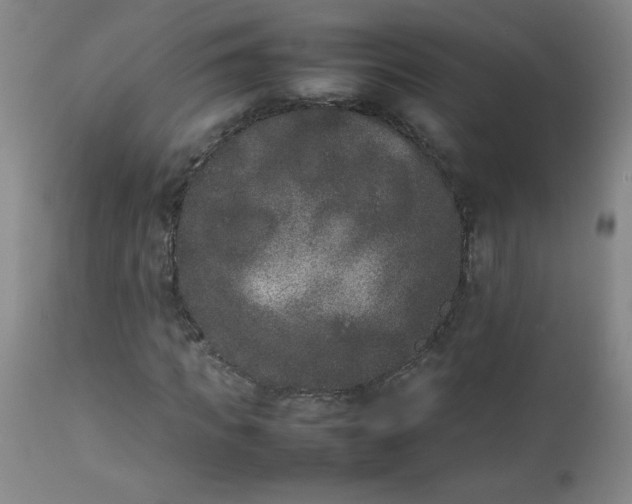 X0000112850917200909041526