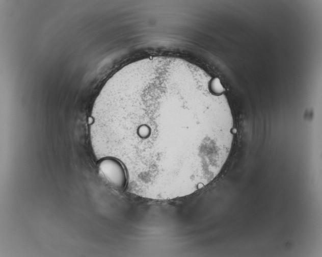 X0000112850918200909041526