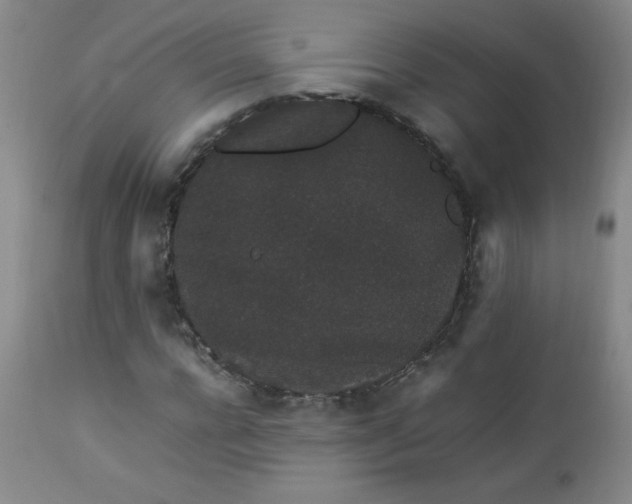 X0000112850920200909041526