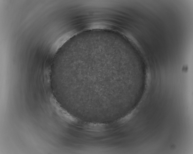 X0000112850921200909041526