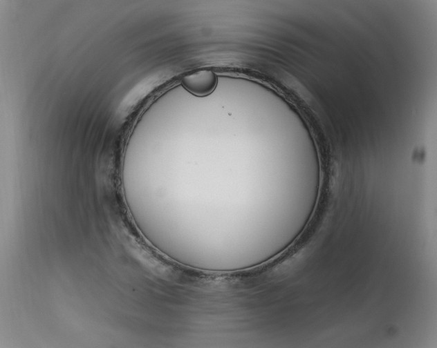 X0000112850922200909041526