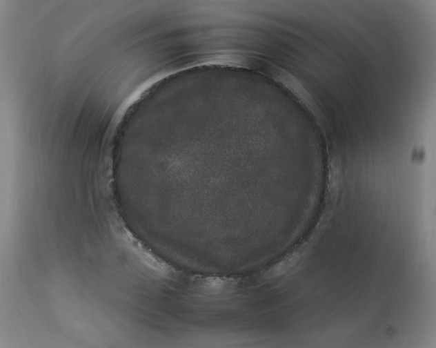 X0000112850923200909041526