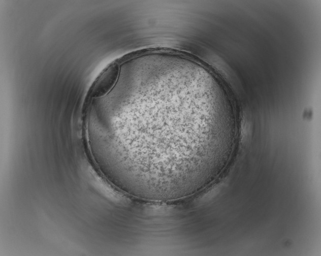 X0000112850924200909041526