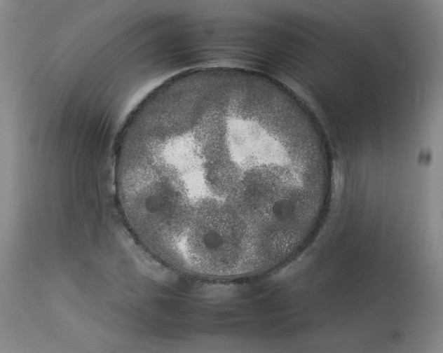 X0000112850925200909041526