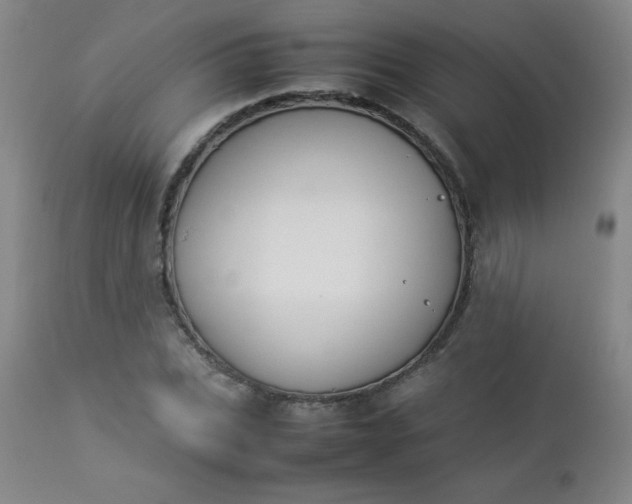 X0000112850927200909041526