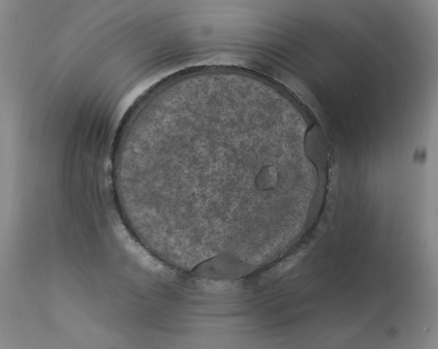 X0000112850928200909041526