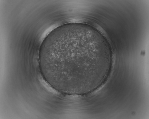 X0000112850930200909041526