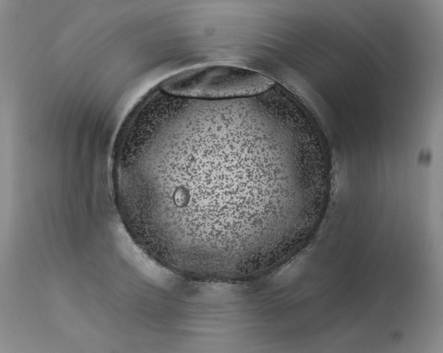 X0000112850932200909041526