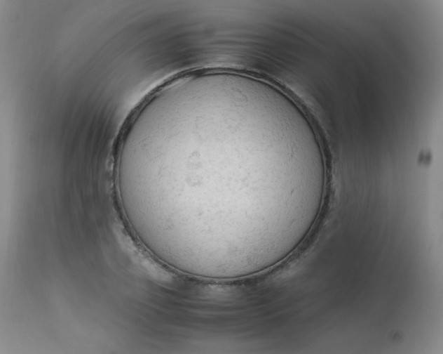 X0000112850933200909041526