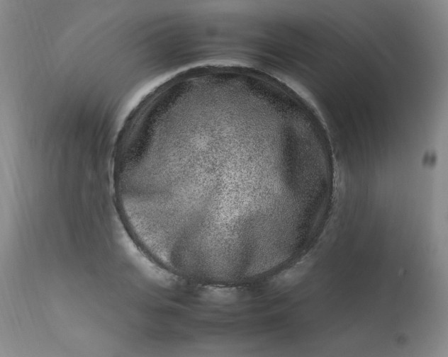 X0000112850935200909041526